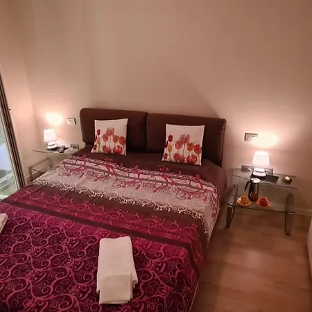 公寓 Casa Vacanza Il Mughetto 萨尼科